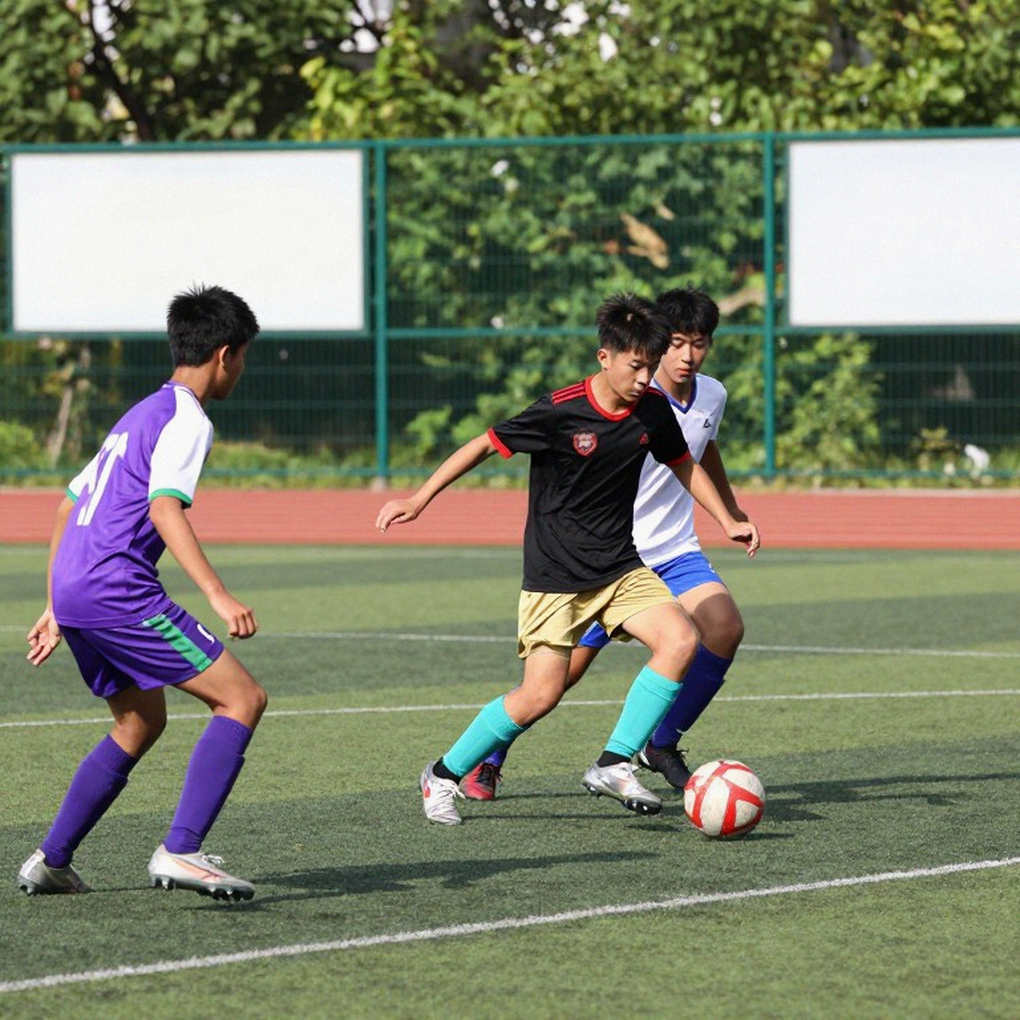 এমা হেইসের সাহস: সাব-২৩ পথের নতুন রূপ ও অস্বীকৃতির রাজনীতি